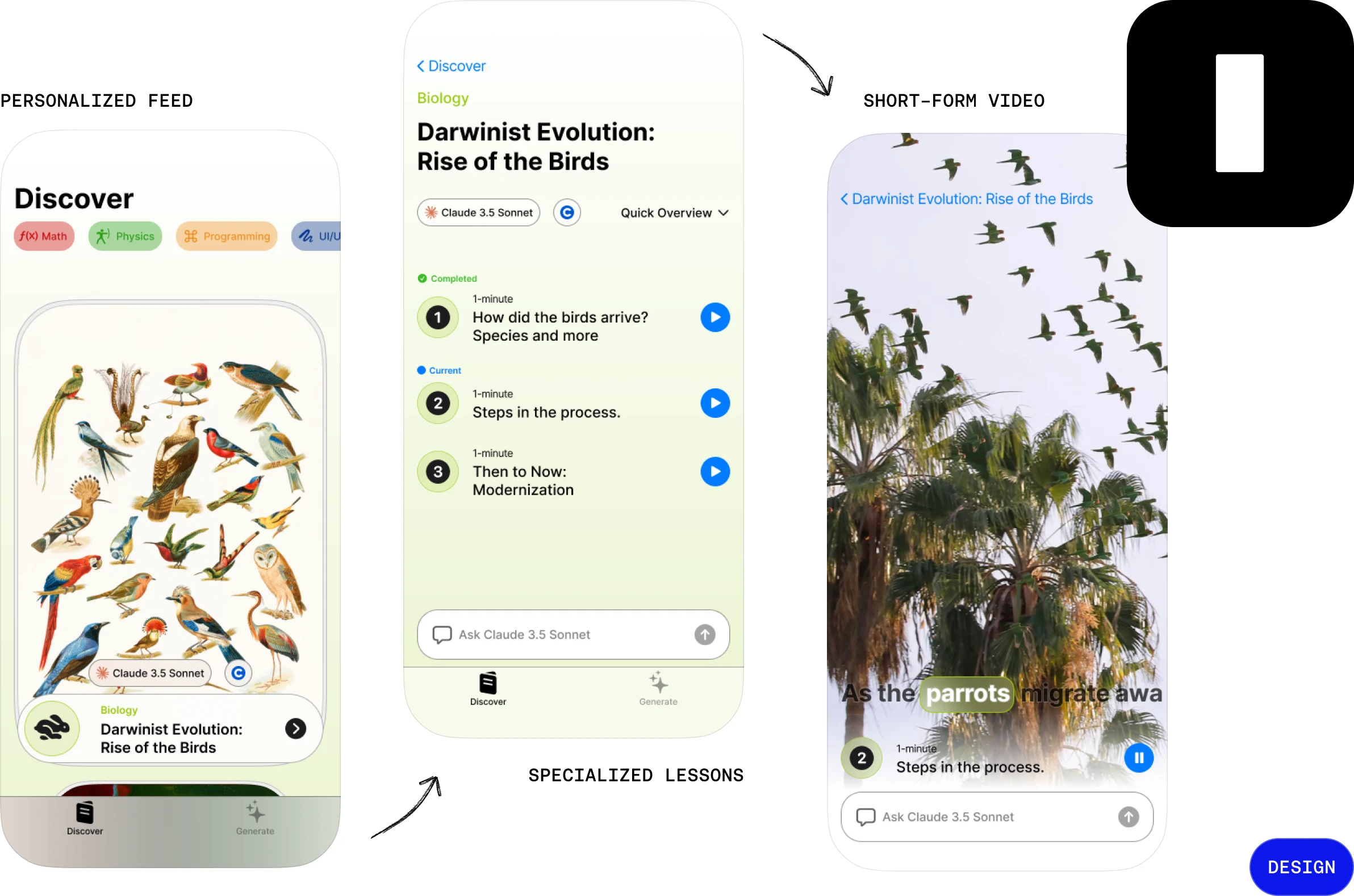 Three Enlight screens: the personalized Discover feed, a Darwinist Evolution lesson overview, and a short-form video lesson, with the logo mark.
