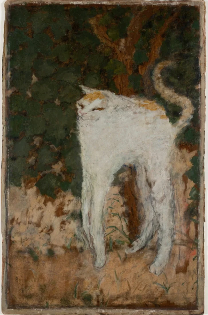 Le Chat blanc — Pierre Bonnard's post-impressionist painting of a white cat